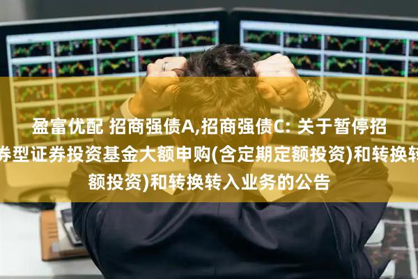 盈富优配 招商强债A,招商强债C: 关于暂停招商信用增强债券型证券投资基金大额申购(含定期定额投资)和转换转入业务的公告