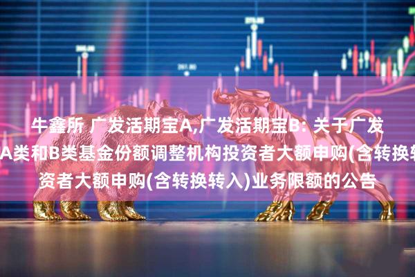 牛鑫所 广发活期宝A,广发活期宝B: 关于广发活期宝货币市场基金A类和B类基金份额调整机构投资者大额申购(含转换转入)业务限额的公告