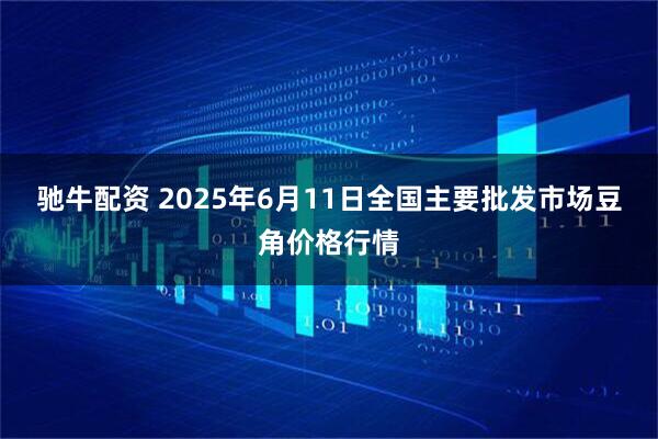 驰牛配资 2025年6月11日全国主要批发市场豆角价格行情