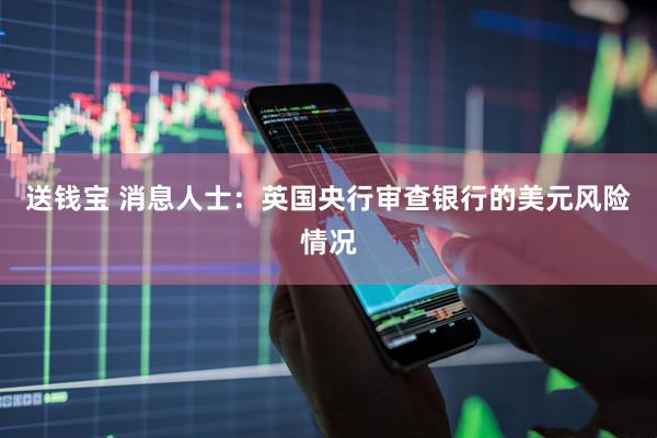 送钱宝 消息人士：英国央行审查银行的美元风险情况