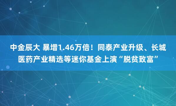 中金辰大 暴增1.46万倍！同泰产业升级、长城医药产业精选等迷你基金上演“脱贫致富”