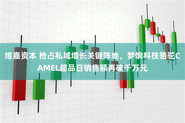 维嘉资本 抢占私域增长关键阵地，梦饷科技骆驼CAMEL超品日销售额再破千万元