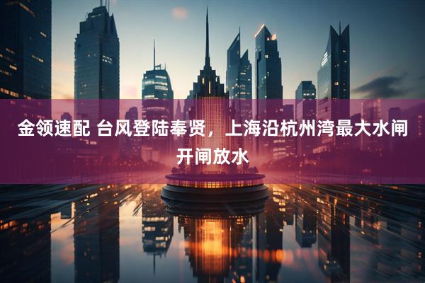 金领速配 台风登陆奉贤，上海沿杭州湾最大水闸开闸放水