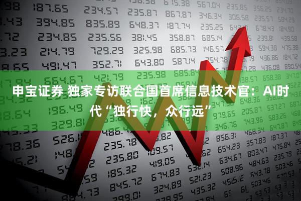 申宝证券 独家专访联合国首席信息技术官：AI时代“独行快，众行远”